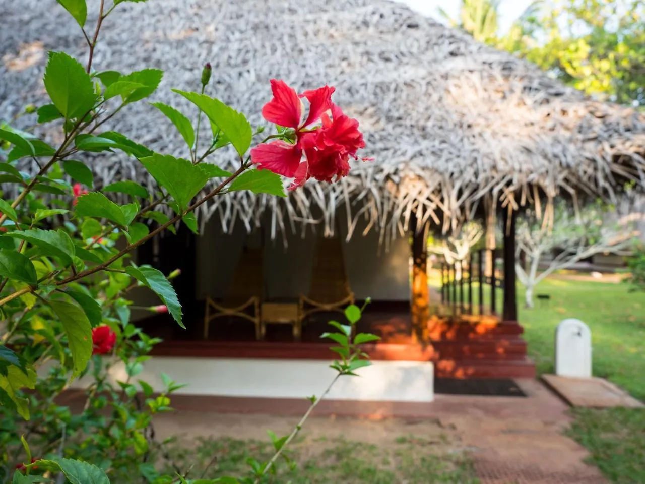 Marari Beach Resort Alleppey- A Cgh Earth Experience Mararikulam Indien