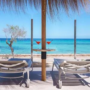 Hotel Ferrer Concord Can Picafort (Mallorca)