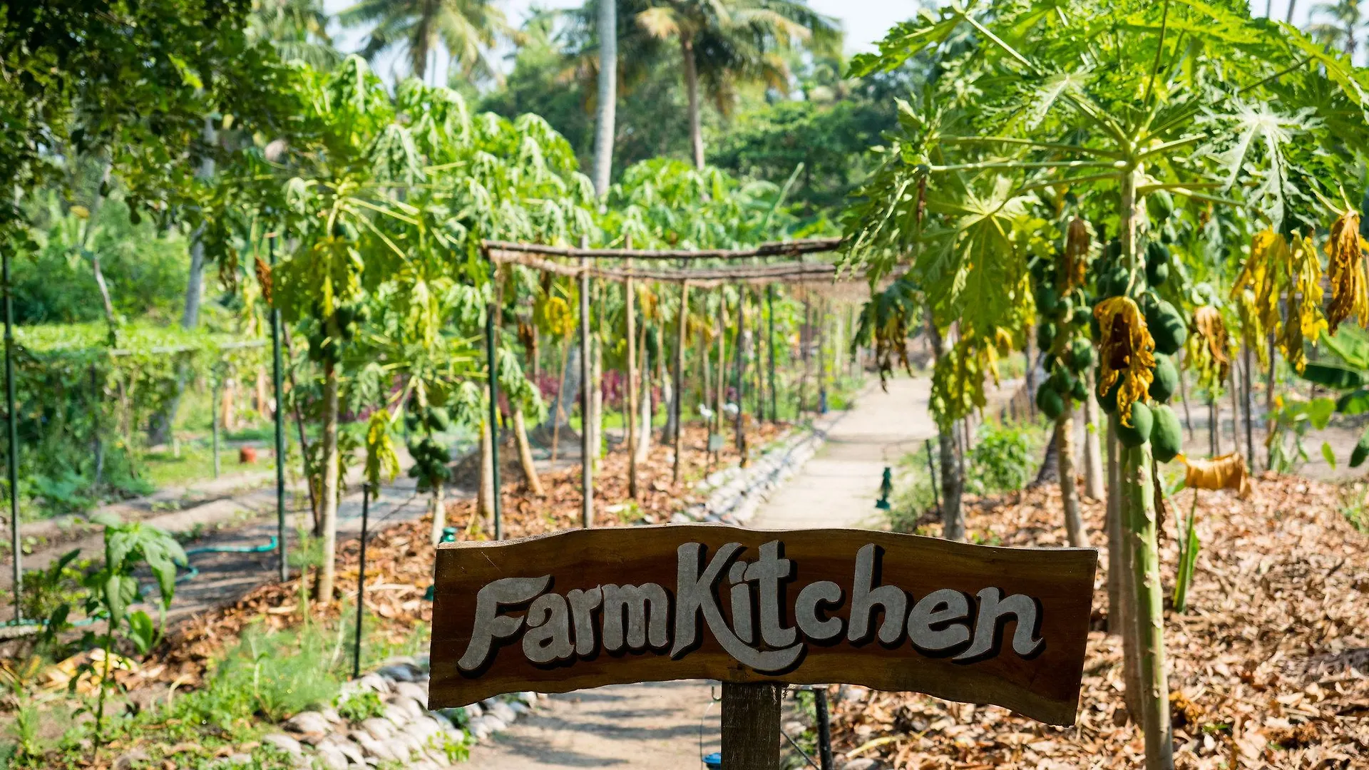 Marari Beach Resort Alleppey - A Cgh Earth Experience Mararikulam